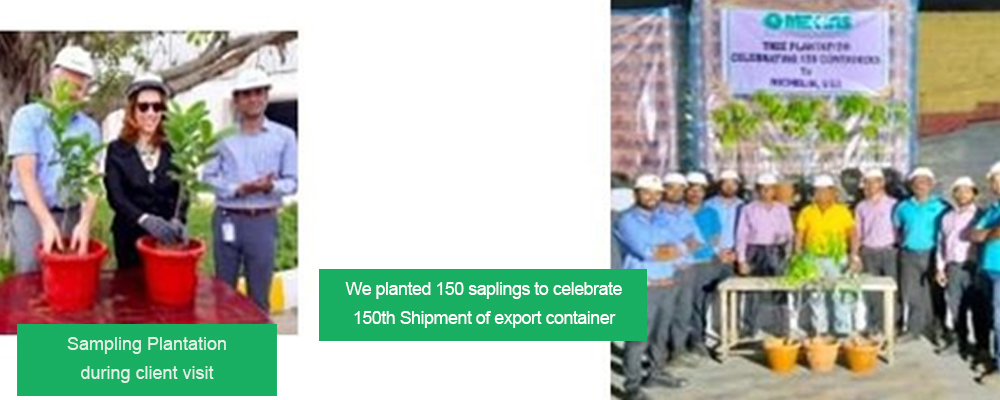 Mekins team and clients planting saplings to celebrate 150th export container milestone